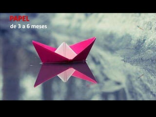 de 3 a 6 meses
PAPEL