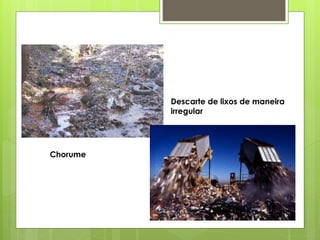 Chorume
Descarte de lixos de maneira
irregular
 