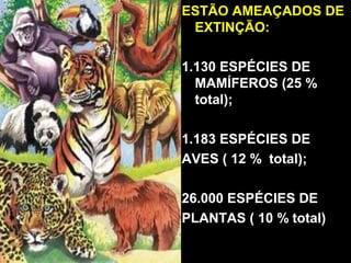 ESTÃO AMEAÇADOS DEESTÃO AMEAÇADOS DE
EXTINÇÃO:EXTINÇÃO:
1.130 ESPÉCIES DE1.130 ESPÉCIES DE
MAMÍFEROS (25 %MAMÍFEROS (25 %
total);total);
1.183 ESPÉCIES DE1.183 ESPÉCIES DE
AVES ( 12 % total);AVES ( 12 % total);
26.000 ESPÉCIES DE26.000 ESPÉCIES DE
PLANTAS ( 10 % total)PLANTAS ( 10 % total)
 