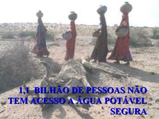 SP - Capital
1,1 BILHÃO DE PESSOAS NÃO1,1 BILHÃO DE PESSOAS NÃO
TEM ACESSO A ÁGUA POTÁVELTEM ACESSO A ÁGUA POTÁVEL
SEGURASEGURA
 