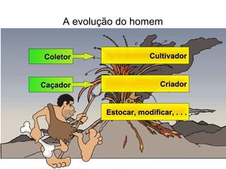A evolução do homem
ColetorColetor
CaçadorCaçador
CultivadorCultivador
CriadorCriador
Estocar, modificar, . . .Estocar, modificar, . . .
 