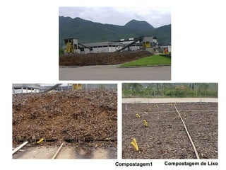 Compostagem1 Compostagem de Lixo 
 