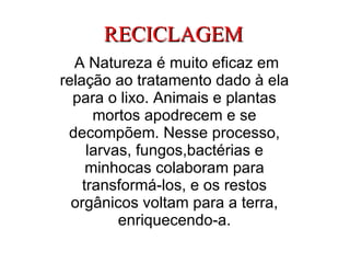 RECICLAGEM A Natureza é muito eficaz em relação ao tratamento dado à ela para o lixo. Animais e plantas mortos apodrecem e se decompõem. Nesse processo, larvas, fungos,bactérias e minhocas colaboram para transformá-los, e os restos orgânicos voltam para a terra, enriquecendo-a. 