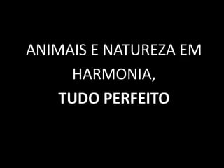 ANIMAIS E NATUREZA EM
HARMONIA,
TUDO PERFEITO
 