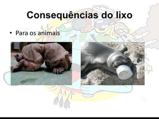 Consequências do lixo
• Para os animais
 