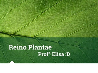 Reino Plantae
Profª Elisa :D
 