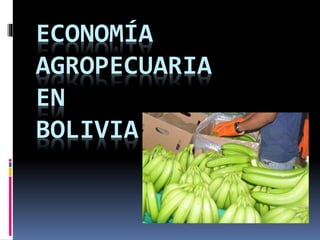 ECONOMÍA
AGROPECUARIA
EN
BOLIVIA
 
