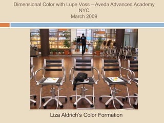 Dimensional Color with Lupe Voss – Aveda Advanced Academy
                            NYC
                         March 2009




              Liza Aldrich’s Color Formation
 