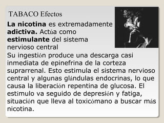 La nicotina es extremadamente
adictiva. Actúa como
estimulante del sistema
nervioso central
TABACO Efectos
Su ingestión produce una descarga casi
inmediata de epinefrina de la corteza
suprarrenal. Esto estimula el sistema nervioso
central y algunas glándulas endocrinas, lo que
causa la liberación repentina de glucosa. El
estímulo va seguido de depresión y fatiga,
situación que lleva al toxicómano a buscar más
nicotina.
 