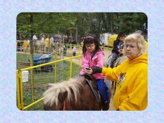 Lizann