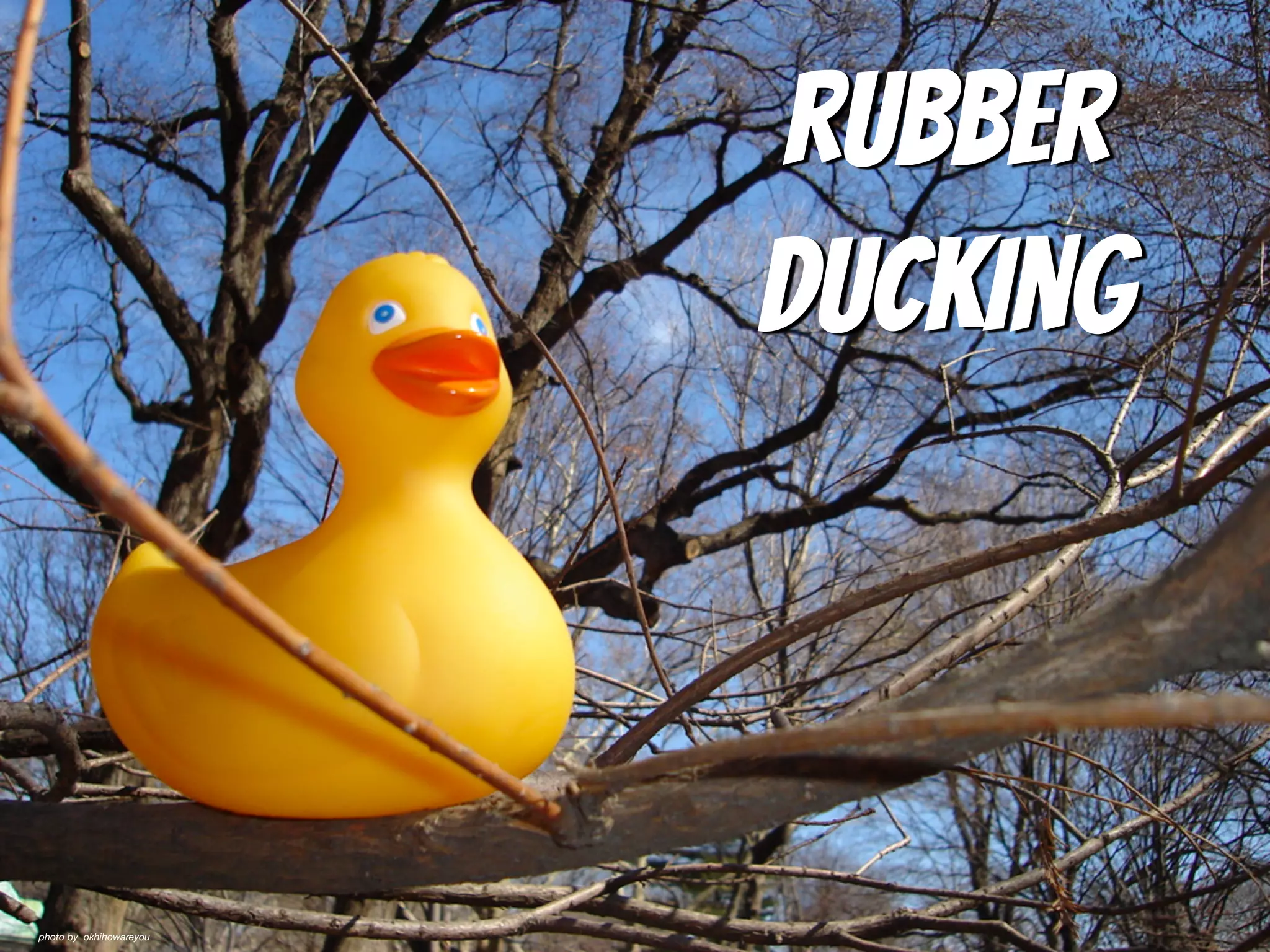 rubber

ducking
photo by okhihowareyou
 