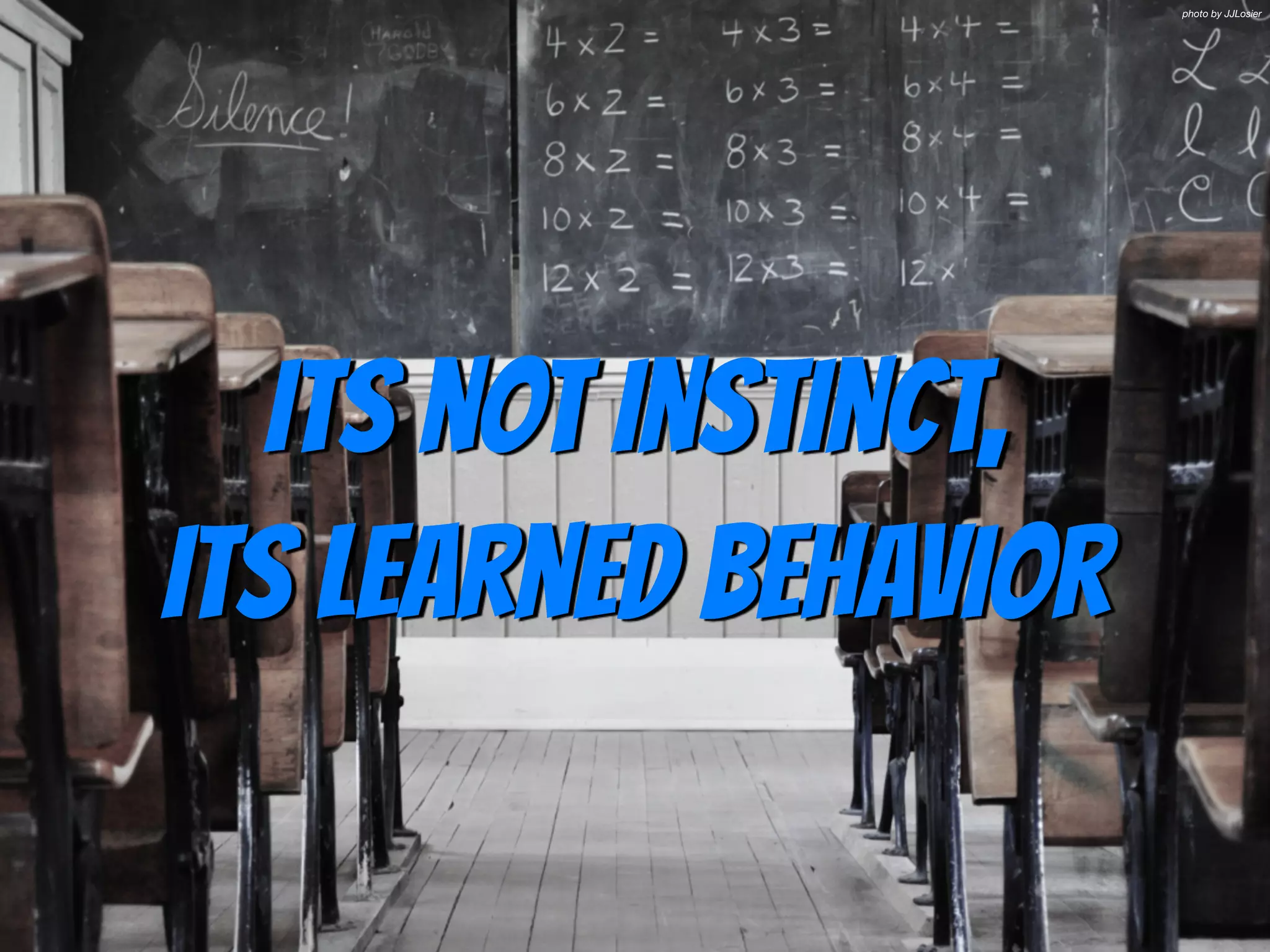 Its not instinct,  
its learned behavior
photo by JJLosier
 