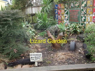 Lizard Garden
 