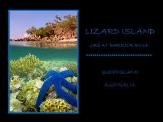 LIZARD ISLAND GREAT BARRIER REEF AUSTRALIA ******************************* QUEENSLAND 