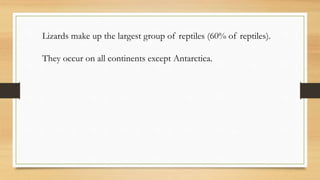 Lizards make up the largest group of reptiles (60% of reptiles).
They occur on all continents except Antarctica.
 