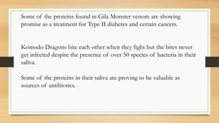 Some of the proteins found in Gila Monster venom are showing
promise as a treatment for Type II diabetes and certain cancers.
Komodo Dragons bite each other when they fight but the bites never
get infected despite the presence of over 50 species of bacteria in their
saliva.
Some of the proteins in their saliva are proving to be valuable as
sources of antibiotics.
 