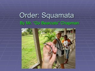 Order: Squamata
By Mr. “Go Bearcats” Chapman
 
