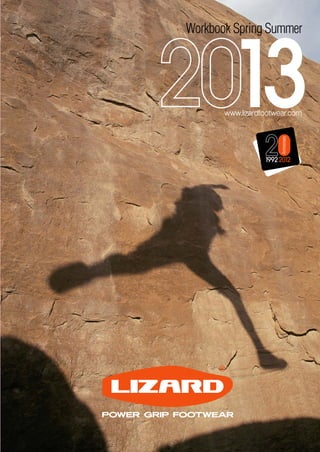 Lizard workbook lato 2013