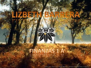 LIZBETH BARRERA FINANZAS 1 A 