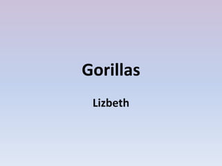 Gorillas
 Lizbeth
 