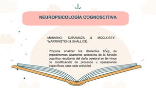CREDITS: This presentation template was created by Slidesgo,
including icons by Flaticon, infographics & images by Freepik
NEUROPSICOLOGÍA COGNOSCITIVA
Propone analizar los diferentes tipos de
impedimentos altamente selectivos de la función
cognitiva resultante del daño cerebral en términos
de modificación de procesos u operaciones
específicas para cada actividad
MÁNNING; CARAMAZA & MCCLOSEY;
WARRINGTON & SHALLICE.
 