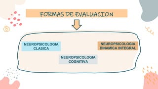 NEUROPSICOLOGIA
COGNITIVA
FORMAS DE EVALUACION
NEUROPSICOLOGIA
DINAMICA INTEGRAL
NEUROPSICOLOGIA
CLASICA
 