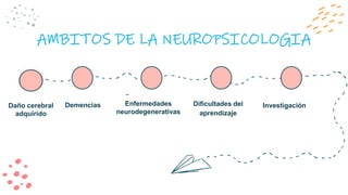 AMBITOS DE LA NEUROPSICOLOGIA
Daño cerebral
adquirido
Demencias Enfermedades
neurodegenerativas
Dificultades del
aprendizaje
Investigación
 