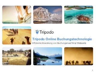 Tripodo Online Buchungstechnologie
Effiziente Abwicklung von Buchungen auf Ihrer Webseite
1
 