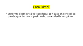 LIZETH- AMANDA PRESENTEACION TRABAJO DE CLASE | PPTX
