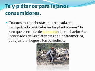 Té y plátanos para lejanos
consumidores.
 Cuantos muchachos/as mueren cada año
  manipulando pesticidas en las plantaciones? Es
  raro que la noticia de la muerte de muchachos/as
  intoxicados en las plataneras de Centroamérica,
 por ejemplo, llegue a los periódicos.
 