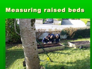 Measuring raised bedsMeasuring raised beds
 