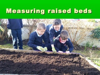 Measuring raised bedsMeasuring raised beds
 