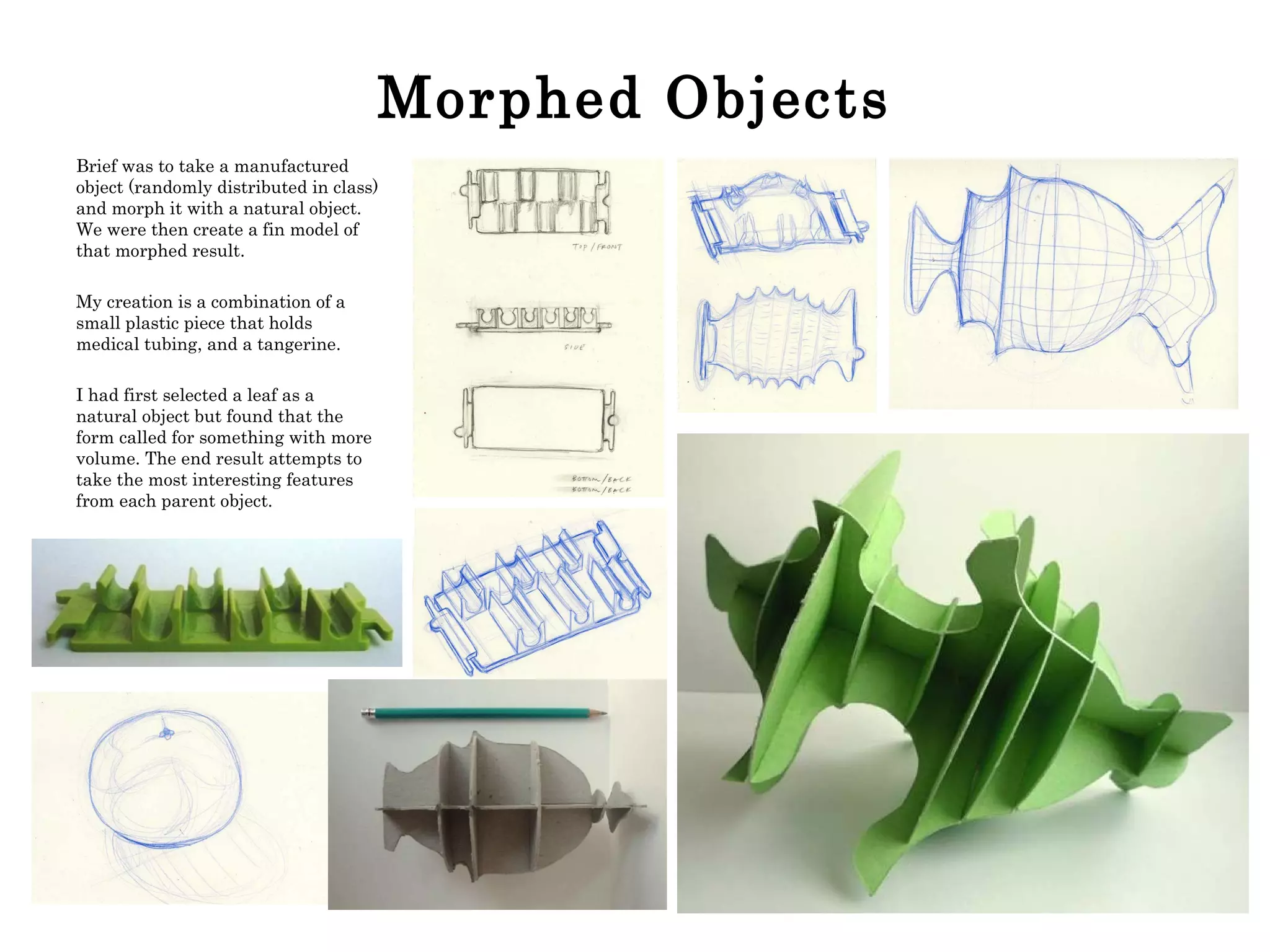 Morphed Objects Brief was to take a manufactured object (randomly distributed in class) and morph it with a natural object. We were then create a fin model of that morphed result. My creation is a combination of a small plastic piece that holds medical tubing, and a tangerine.  I had first selected a leaf as a natural object but found that the form called for something with more volume. The end result attempts to take the most interesting features from each parent object. 