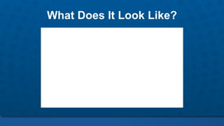 What Does It Look Like?
 