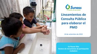 Liz Paucar Díaz
Gestora de mecanismos de participación
ciudadana
Lineamientos de
Consulta Pública
para elaborar el
PMO
14 de setiembre de 2022
 