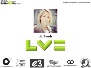 Liz Sands
B2B Marketing within Financial Services
 