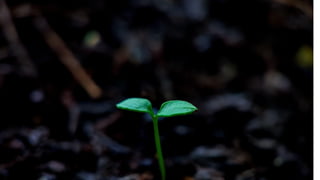 Proprietary + Conﬁdential
Proprietary + Conﬁdential
 