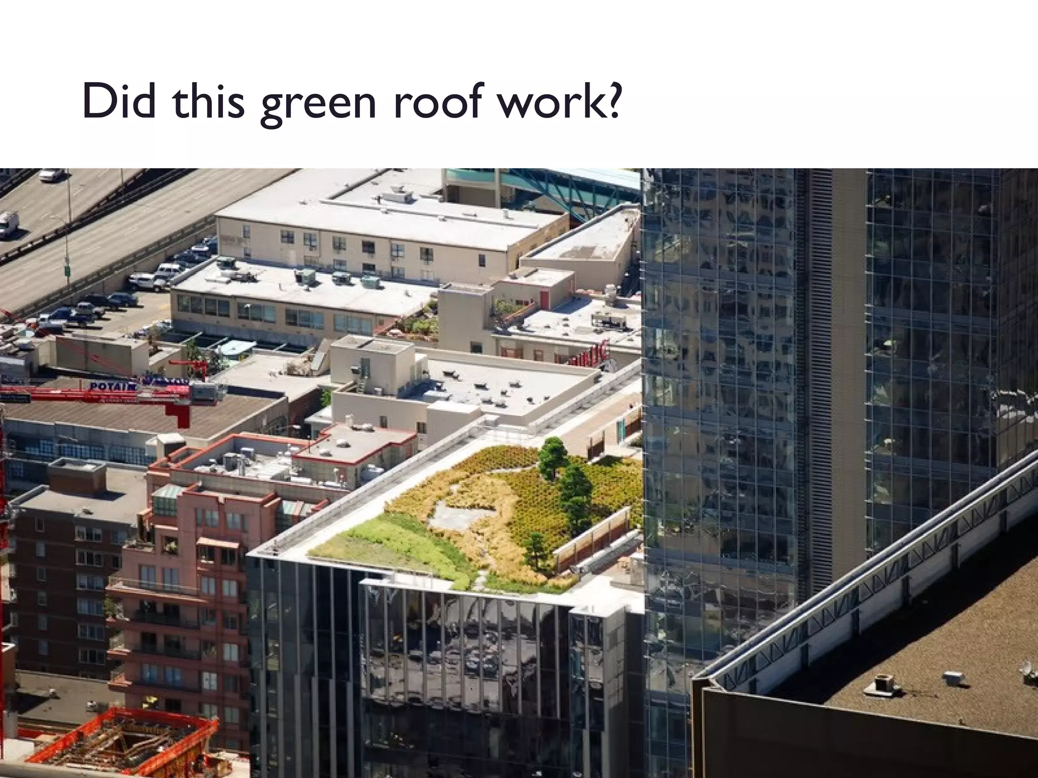 Did this green roof work?

 