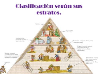 Clasificación según sus
        estratos.
 