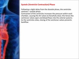 Systole (Ventricle Contraction) Phase
Following a slight delay from the diastole phase, the ventricles
contract = systole phase
Contraction of the ventricles increases the pressure within each
chamber, causing the AV valves to forcefully close; this forces the
semilunar valves open and blood flows into the arterial systems
As the ventricles relax, closing of the semilunar valves prevents
backflow
 