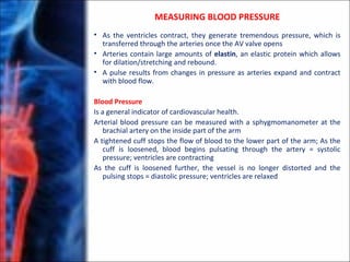 MEASURING BLOOD PRESSURE
• As the ventricles contract, they generate tremendous pressure, which is
transferred through the arteries once the AV valve opens
• Arteries contain large amounts of elastin, an elastic protein which allows
for dilation/stretching and rebound.
• A pulse results from changes in pressure as arteries expand and contract
with blood flow.
Blood Pressure
Is a general indicator of cardiovascular health.
Arterial blood pressure can be measured with a sphygmomanometer at the
brachial artery on the inside part of the arm
A tightened cuff stops the flow of blood to the lower part of the arm; As the
cuff is loosened, blood begins pulsating through the artery = systolic
pressure; ventricles are contracting
As the cuff is loosened further, the vessel is no longer distorted and the
pulsing stops = diastolic pressure; ventricles are relaxed
 