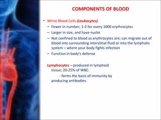 • White Blood Cells (Leukocytes)
– Fewer in number; 1-2 for every 1000 erythrocytes
– Larger in size, and have nuclei
– Not confined to blood as erythrocytes are; can migrate out of
blood into surrounding interstitial fluid or into the lymphatic
system – where your body fights infection
– Function in body’s defense
Lymphocytes – produced in lymphoid
tissue; 20-25% of WBC.
- forms the basis of immunity by
producing antibodies.
COMPONENTS OF BLOOD
 