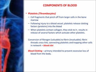 • Platelets (Thrombocytes)
– Cell fragments that pinch off from larger cells in the bone
marrow
– Following injury to a blood vessel, platelets release clotting
factors (proteins) into the blood
– When platelets contact collagen, they stick to it ; results in
release of several factors which activate other platelets.
Conversion of fibrogen (soluable) to fibrin (insoluable); fibrin
threads cross-link, connecting platelets and trapping other cells
in network = blood clot
Blood Clotting – primary intended to prevent excessive loss of
blood from the body.
COMPONENTS OF BLOOD
 