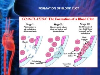 FORMATION OF BLOOD CLOT
 