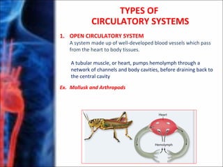 TYPES OF
CIRCULATORY SYSTEMS
1. OPEN CIRCULATORY SYSTEM
A system made up of well-developed blood vessels which pass
from the heart to body tissues.
A tubular muscle, or heart, pumps hemolymph through a
network of channels and body cavities, before draining back to
the central cavity
Ex. Mollusk and Arthropods
 