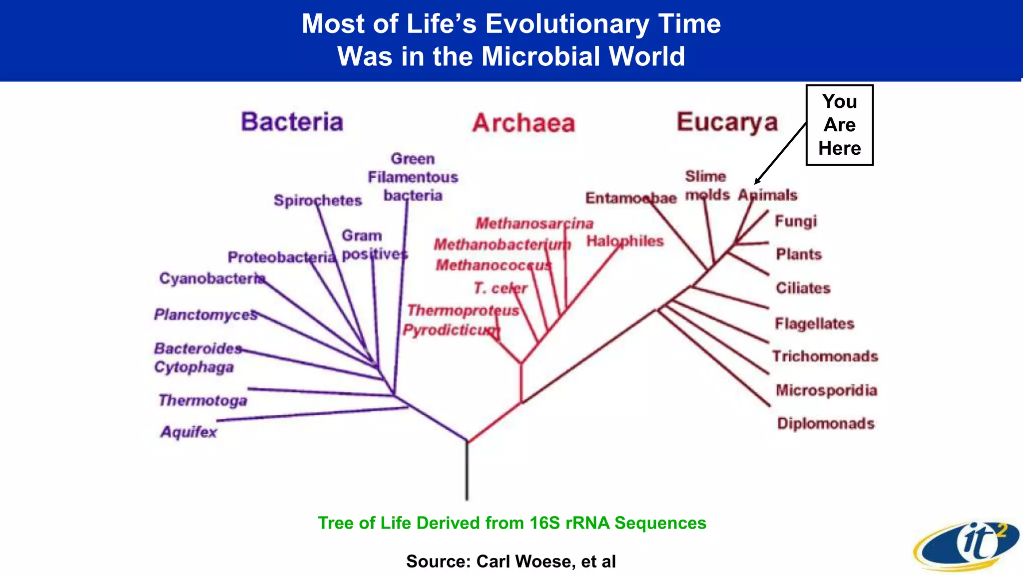 Most of Life’s Evolutionary Time
Was in the Microbial World
You
Are
Here
Source: Carl Woese, et al
Tree of Life Derived from 16S rRNA Sequences
 