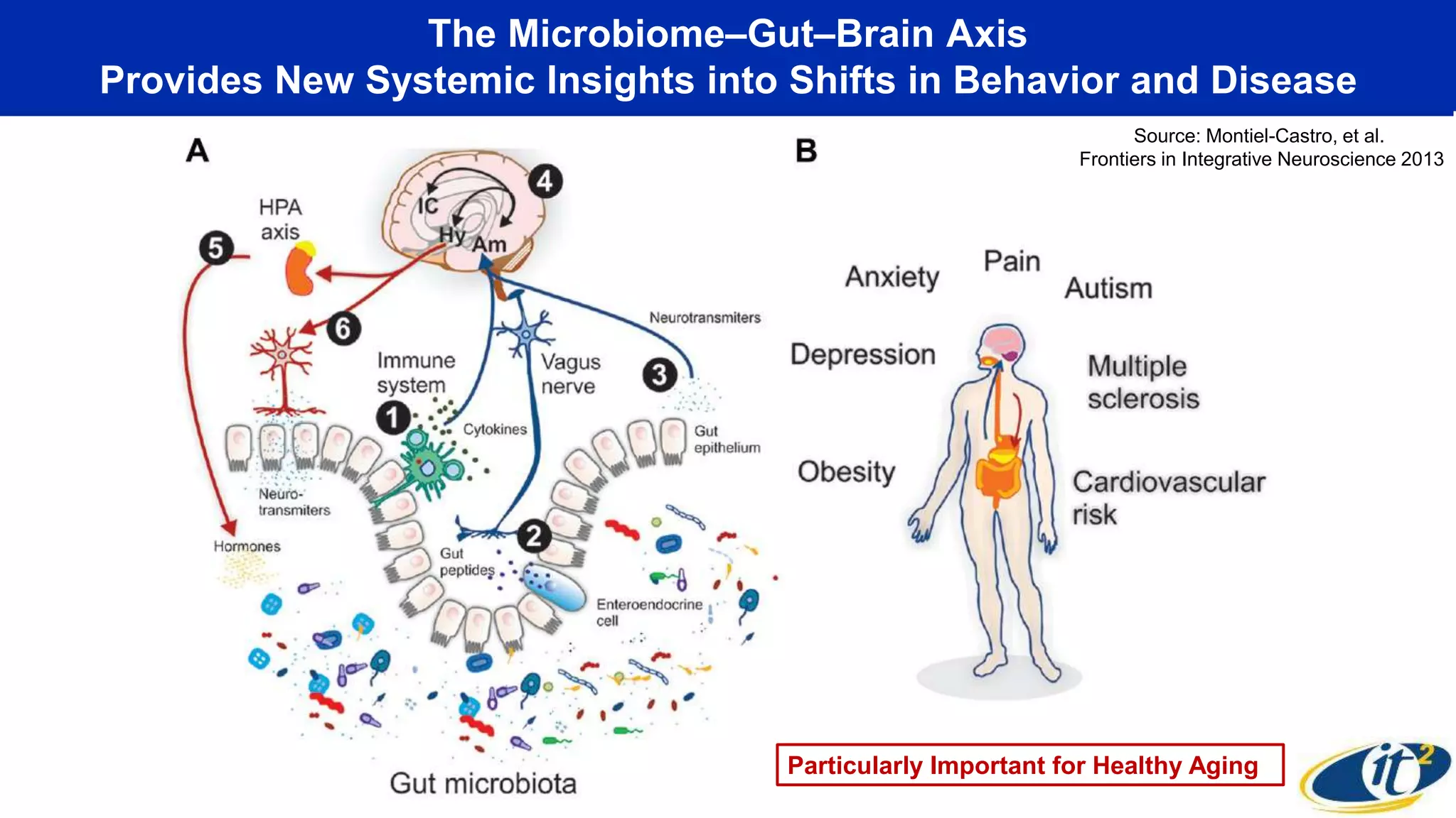 The Microbiome–Gut–Brain Axis
Provides New Systemic Insights into Shifts in Behavior and Disease
Source: Montiel-Castro, et al.
Frontiers in Integrative Neuroscience 2013
Particularly Important for Healthy Aging
 