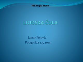 Lazar Pejović
Podgorica 4.5.2014
 