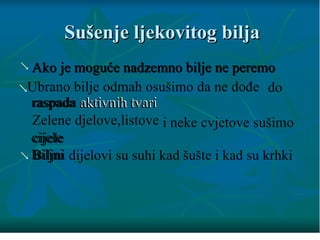 ljekovito bilje-.pptx