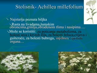 ljekovito bilje-.pptx